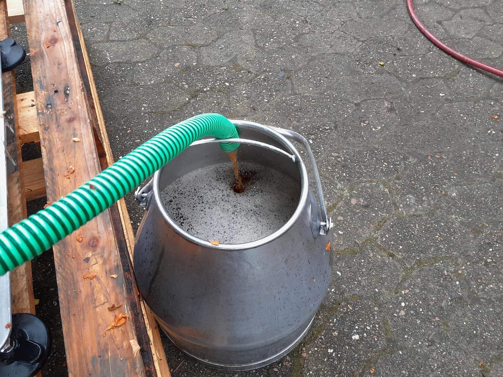 Aus einem grünen Schlauch läuft trüber Apfelsaft in eine Milchkanne, oben steht Schaum.
