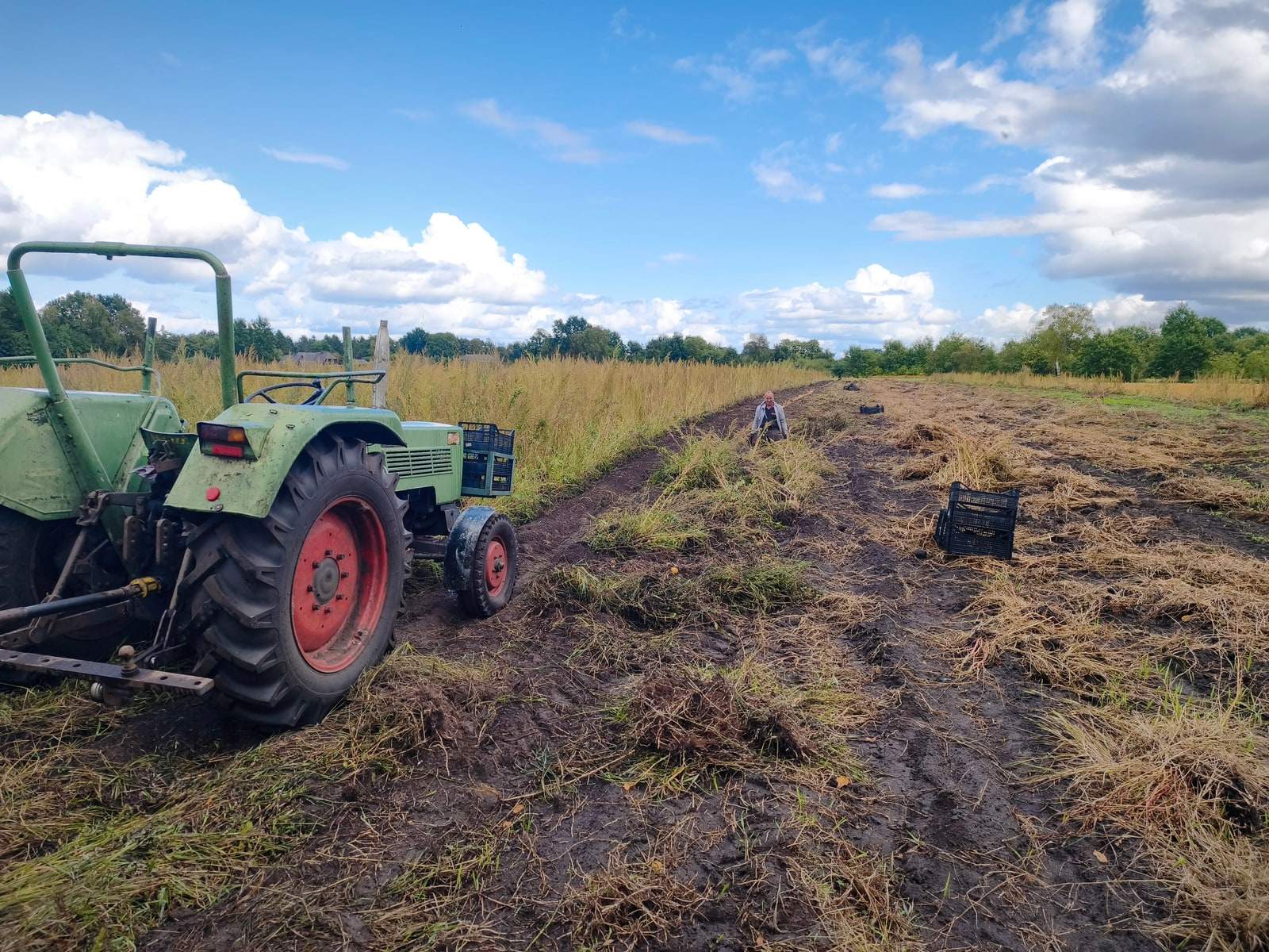 Ein alter grüner Trecker steht am Rand eines Ackers, daneben zieht sich eine frisch gezogene, dunkle Furche bis zum Horizont; rechts und links steht hohes, trockenes Gras, darüber ein Himmel voller Schäfchenwolken.