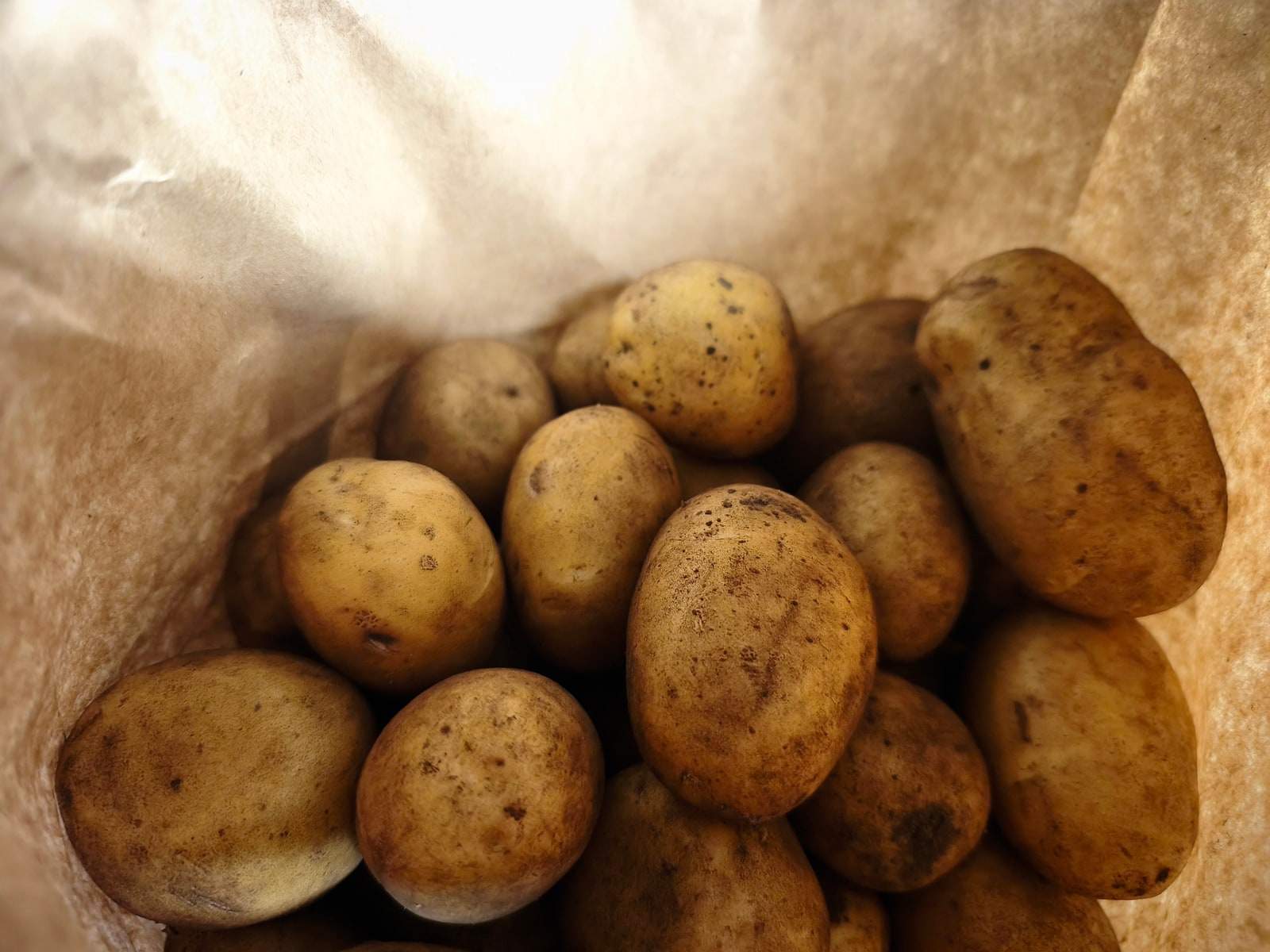 Blick von oben in eine offene Papiertüte voller hellgelber Kartoffeln, an denen noch etwas Erde haftet.